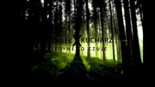 Ząbek / Kucharz - Jedyne Co Czuje (B13Studio)