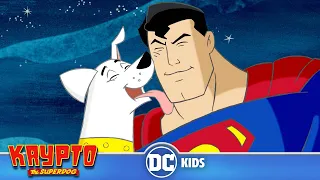 Krypto The Superdog | A Visit from Superman! | @dckids