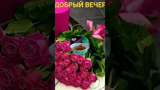 Добрым людям- самый Добрый вечер 💙💜