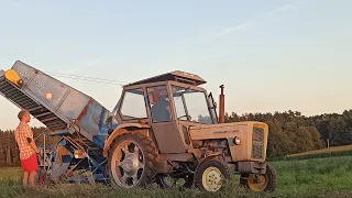 oporowe sadzenie i zbiór ziemniaków 2023😎💪🏻🔥🔥