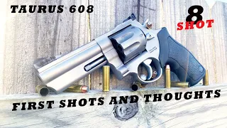 FIRST SHOTS AND THOUGHTS - TAURUS 608, 8 SHOT 357 MAG 38 SPECIAL 4 INCH BARREL