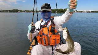 Most Effective Way for Beginner to Catch Speckled Trout: Cut Bait and Popping Cork Rig Kayak Fishing