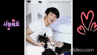 Lee Joon gi et ses chiens