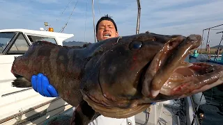 Resting a Huge Longtooth Grouper for 1 Week, and making a Seafood Rice Bowl