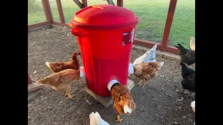 DIY Automatic Chicken Feeder - Holds Over 100 Pounds Of Feed