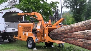 Super Fast Huge Tree Destroy Equipment Working, Biggest Wood Chipper Tree Crusher Heavy Machines