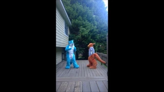 Timber - by Pitbull ft. Ke$ha Furry Edition