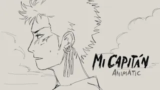 MI CAPITAN - one piece animatic