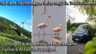 Mit dem Kastenwagen Münsterland und Sauerland VLOG15