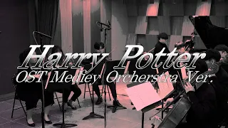 Harry Potter OST Medley | 해리포터 OST 메들리