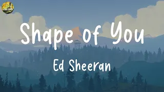 Ed Sheeran - Shape of You (Lyrics) || David Kushner, Ruth B.,... (Mix Lyrics)