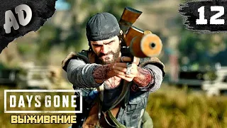 ЗАСАДНЫЙ ЛАГЕРЬ С ФРИКАМИ Прохождение Days Gone Жизнь После на Русском #12