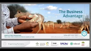 The Business Advantage: Scaling up private sector climate actions in agriculture