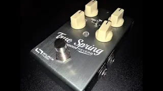 Source Audio True Spring Reverb & Tremolo Pedal Demo!