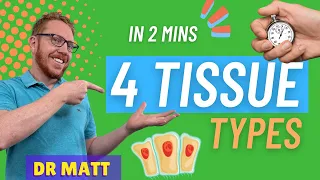 The 4 Tissue Types | In 2 Mins!