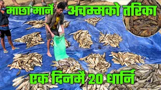 नेपालकै धेरै माछा पाउने रावाखोलामा दुवाली थुनेर माछा मार्दा दिनकै ४० केजी माछा amazing fishing nepal