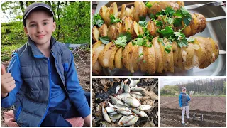 НАРЕШТІ ЗАСАДИЛИ ГОРОД👍👍👍ЛОВЛЮ ОДНУ ЗА ОДНОЮ🎣🎣🎣Вихідні у селі🙂🙂🙂