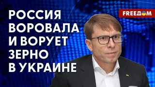 Кража украинского зерна Россией. Продление зерновой сделки. Интервью с экспертом