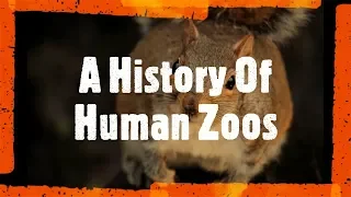 A History of Human Zoos