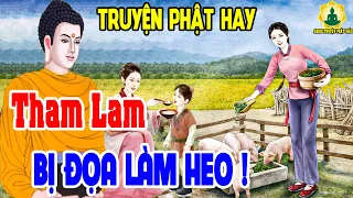 Nhân Quả Ghê Rợn,Luân Hồi Đầu Thai Thành Heo Trả Nợ Cho Chị Dâu Vì Tội Tham Lam _ Audio Truyện Phật