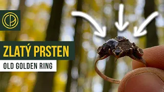 Golden ring with red garnets found metal detecting a forest