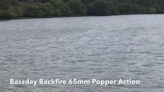 Topwater Fishing with Bassday Backfire 65mm Poppers