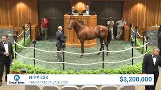 Into Mischief colt sells for $3,200,000 at The Saratoga Sale (2023)