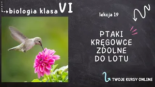 Biologia klasa 6 [Lekcja 19 - Ptaki - kręgowce zdolne do lotu]