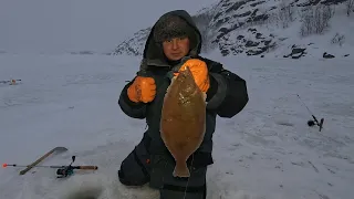 МОРСКАЯ РЫБА СО ЛЬДА / ЧЕМ ХУЖЕ ПОГОДА, ТЕМ ЛУЧШЕ КЛЁВ / SEA FISH FROM ICE