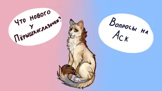 Что нового у Пёрышкоглазочки? Вопросы на аск! / CatWar