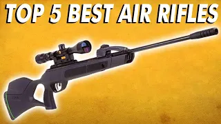 Best Air Rifles - Top 5 Most Powerful Air Rifles 2023