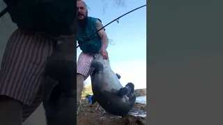 Tennessee River Monster! BIG BLUE CATFISH!