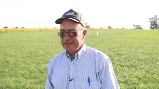 Producción de semilla de festuca por Henry Volpe.