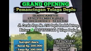 Persiapan Grand Opening Ikan Campur Bawal,Mas,Patin, Gurame