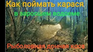 Рыболовная донная коса.Как поймать карася в заросшем водоеме.