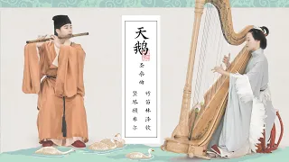 【竹笛Chinese flute X 豎琴Harp】優雅的《天鵝》The Swan (Saint-Saëns)，孤獨的浪漫