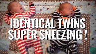 Identical Twins Super Sneezing Identically FUNNY