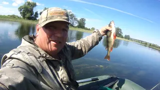 Видео урок, как ловить щуку на живца.