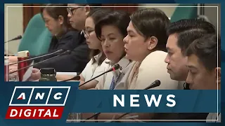 PH Minority Senators scrutinize OVP's P500-M confidential fund in proposed 2024 budget | ANC