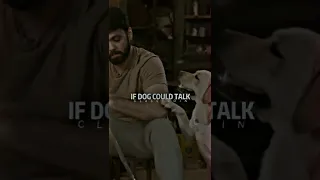 🐶Dog💝lovers❤️ whatsapp status #shorts #whatsappstatus #doglover #dog #doglovers #reels #love #status