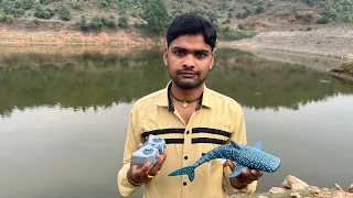 Remote Control Shark Fish Unboxing & Testing - RC Big Blue Whale Shark Unboxing & Testing