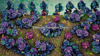 Electron Transport Chain (2019) Drew Berry wehi.tv