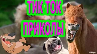 Мои приколы