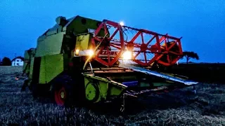 Żniwa 2017! ☆ Claas Mercator 50 ✪ /Małopolska ㋡