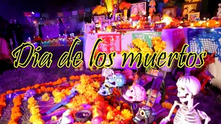 Hollywood Forever Dia de los Muertos 2019 Vlog