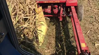 Chopping corn Newholland 790!