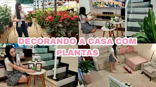 FAXINA E DECORAÇÃO DO LAR 💕 COMPREI PLANTAS PRA DECORAR