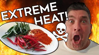 EXTREME SPICY Food Challenge | The Curry of DEATH!!