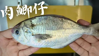 【從海洋到餐桌】現流肉鯽仔生魚片吃過嗎? | 大溪漁港新鮮櫻花蝦。EP.11