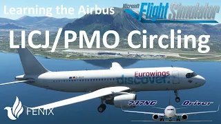 Checking my own Progress: Circling Approach at Palermo LICJ/PMO in the A320